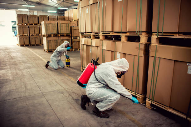 Best Pest Prevention Services  in Erlanger, KY