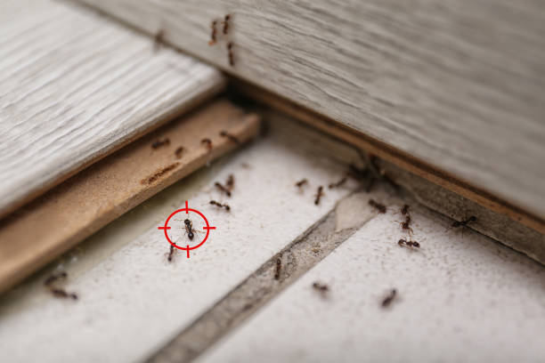 Best Commercial Pest Control Services  in Erlanger, KY