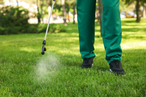 Best Wildlife Control Services  in Erlanger, KY