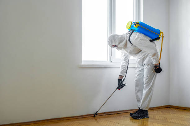 Best Pest Removal Services  in Erlanger, KY