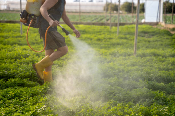 Best Exterminator Services  in Erlanger, KY